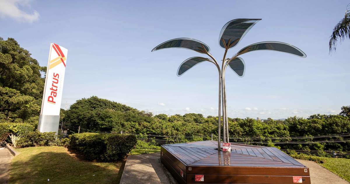 ESG conecta negócios e meio ambiente