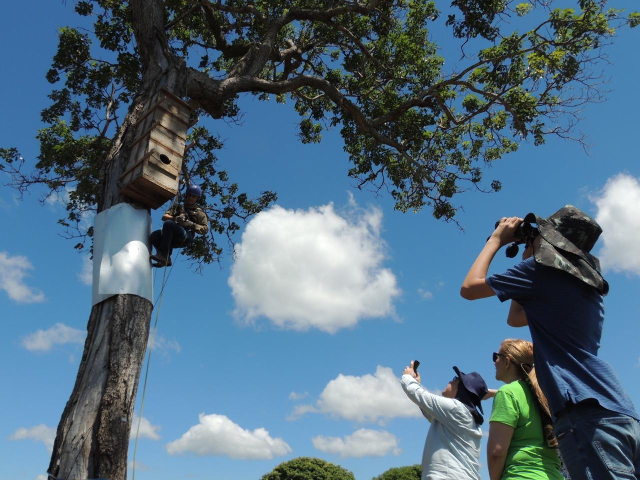 MS fica em terceiro lugar no ranking de estados com turismo sustentável - Meio Ambiente