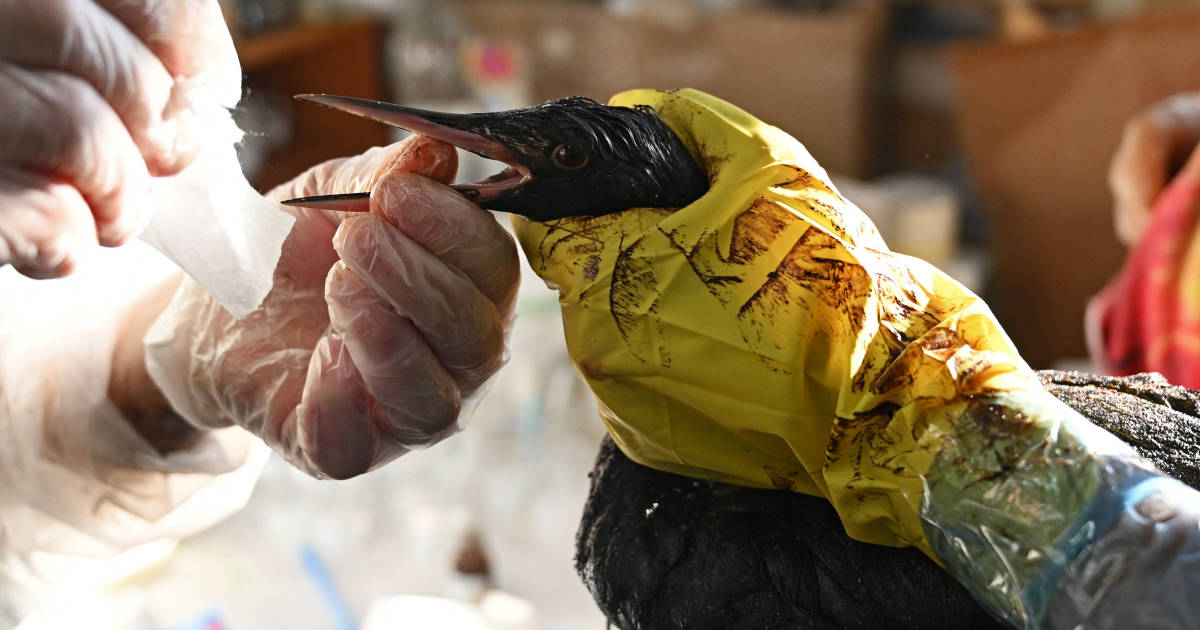 Região russa declara situação de emergência após …