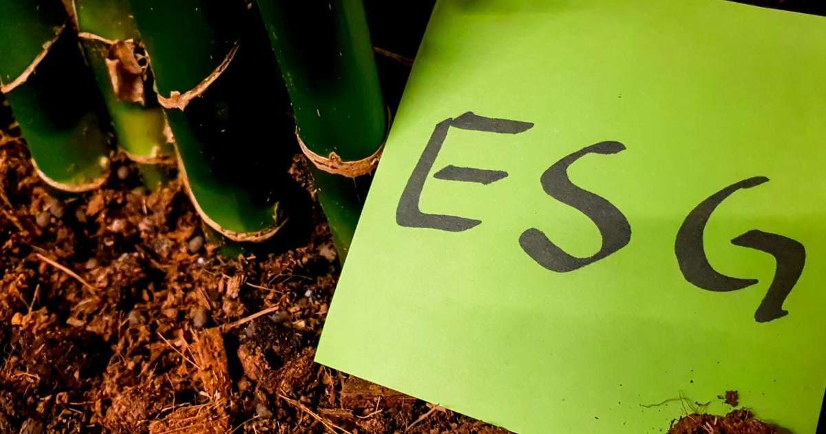 Onde investir em 2025: ESG é oportunidade?