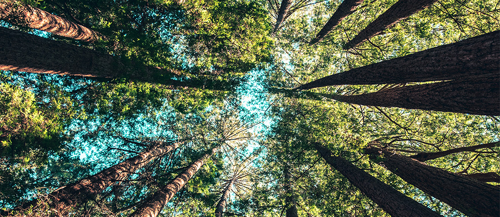 natureza ESG sustentável