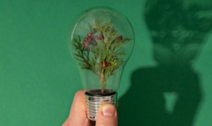 Imagem da Ilha | Florianópolis