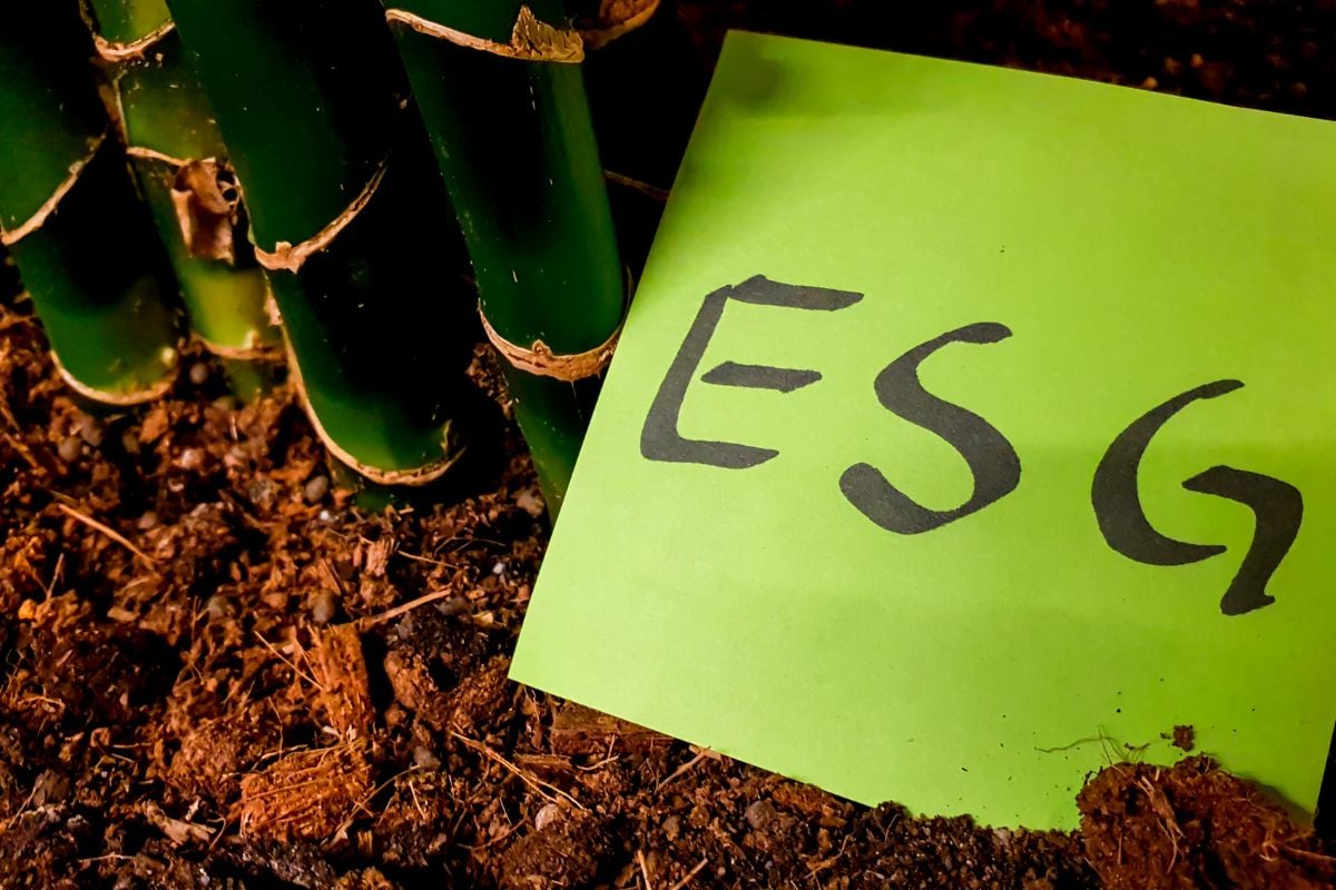 Onde investir em 2025: ESG é oportunidade?