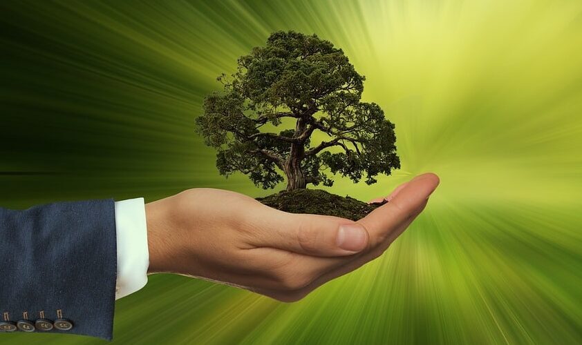 Ranking empresas + sustentáveis; apelo a Trump; inclusão de refugiados da Tenda