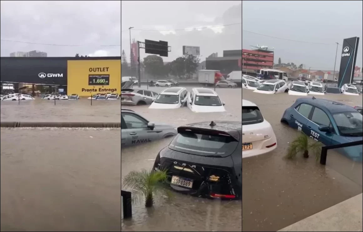 Loja GWM enchente Guarulhos