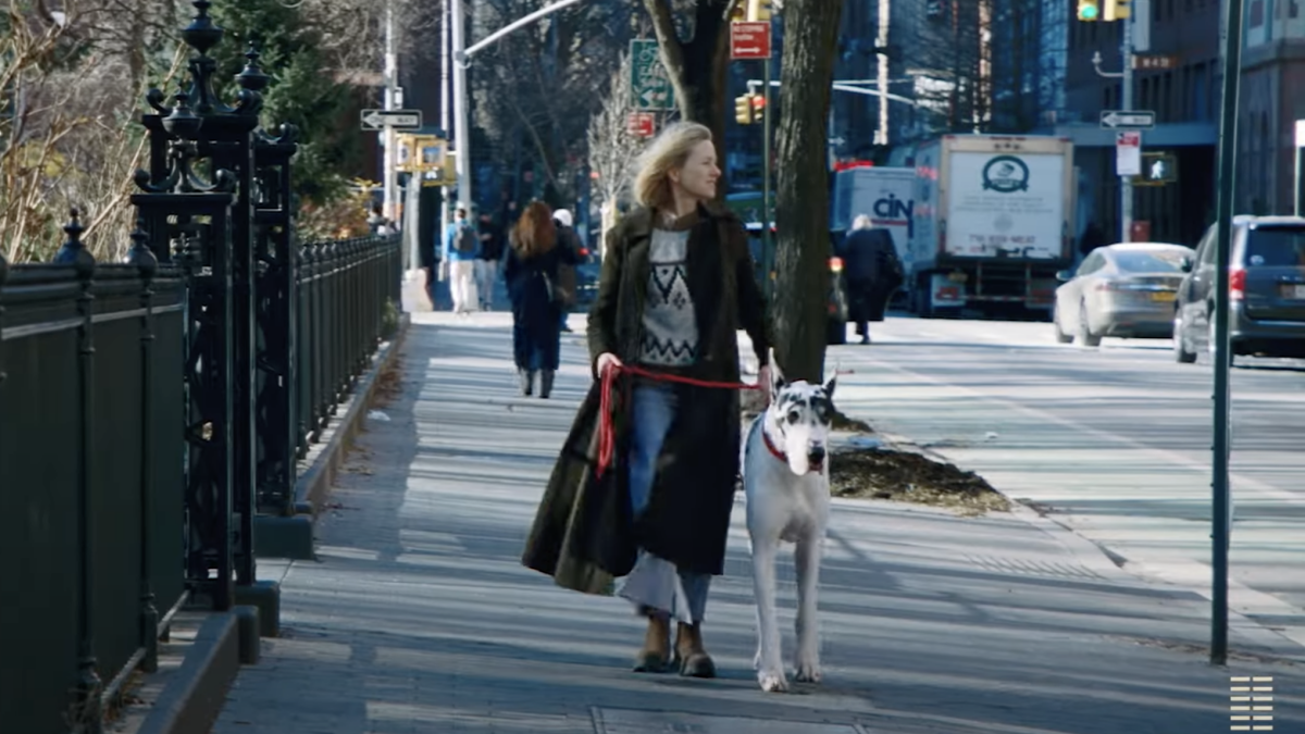 O trailer emocional de 'o amigo' vê Naomi Watts adotando o grande dinamarquês de seu falecido amigo