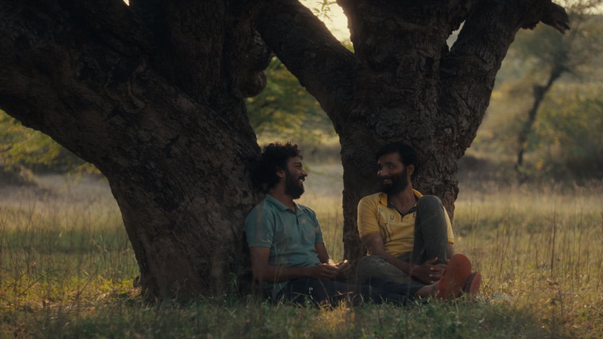 Revisão de 'Cactus Pears': um recurso de estréia garantido que subverte os tropos queer