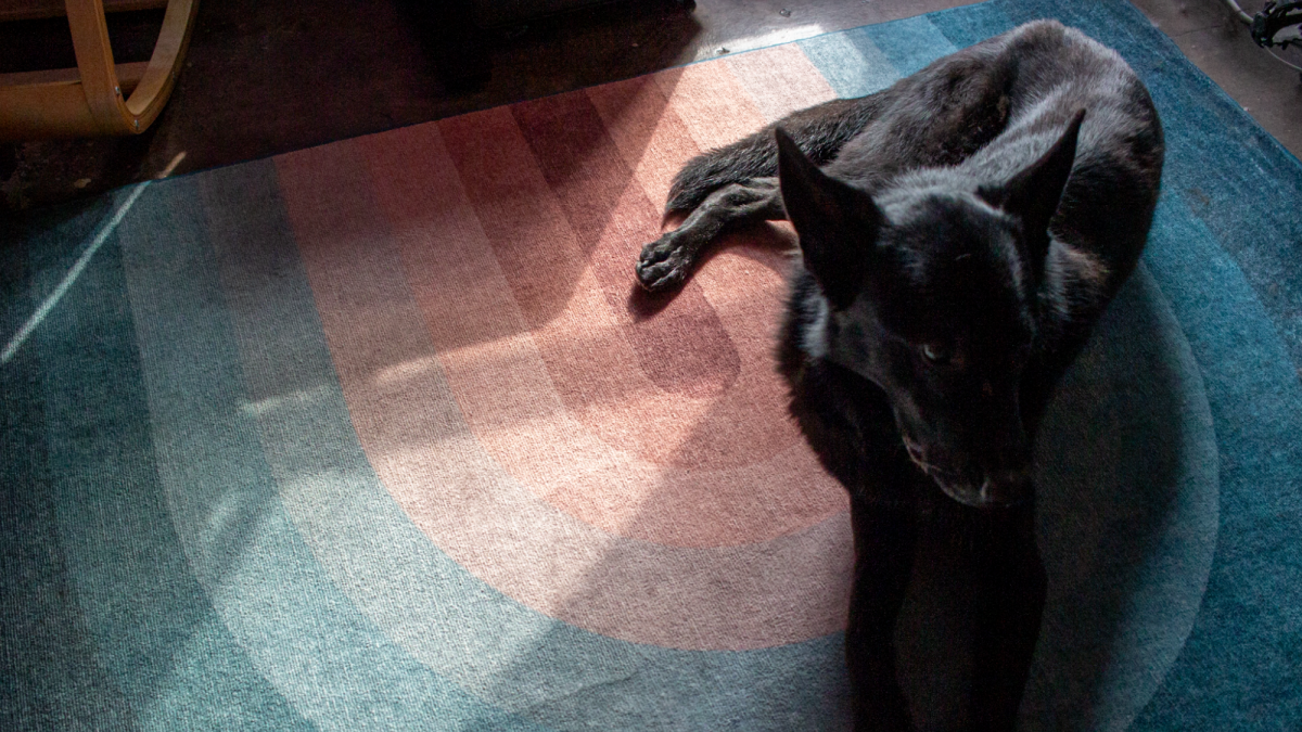 Revisão honesta de Ruggable: os tapetes laváveis ​​valem o preço?