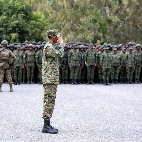 Fitch vê incertezas na continuidade do Ruanda em Cabo Delgado