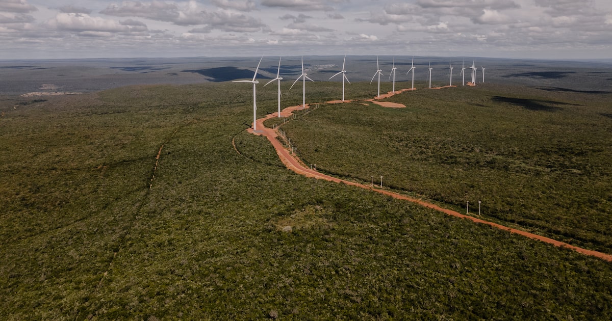 TotalEnergies mira hidrogênio verde de projeto no Brasil, dizem fontes