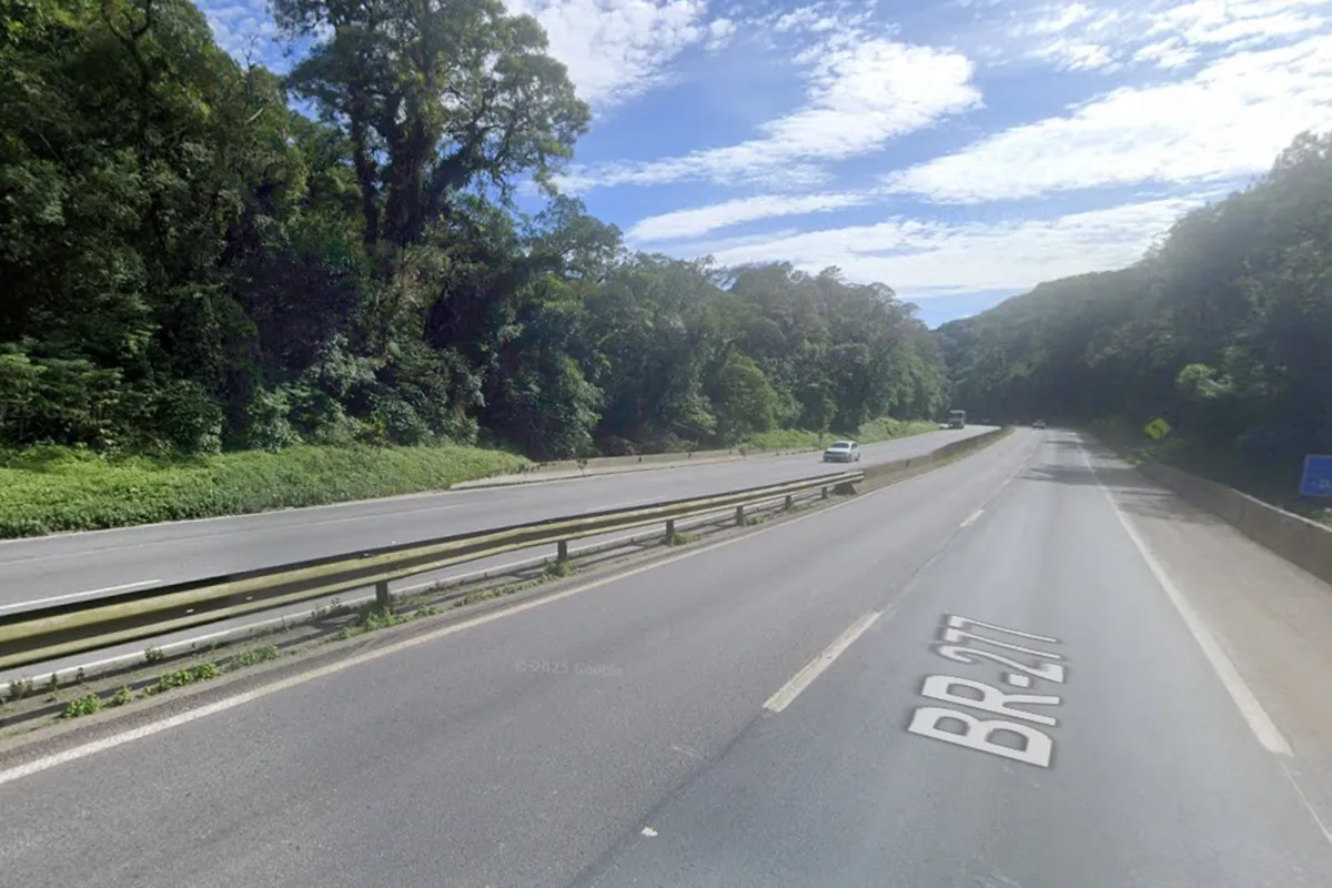 Acidente com árvore na BR-277 interdita pistas em Morretes