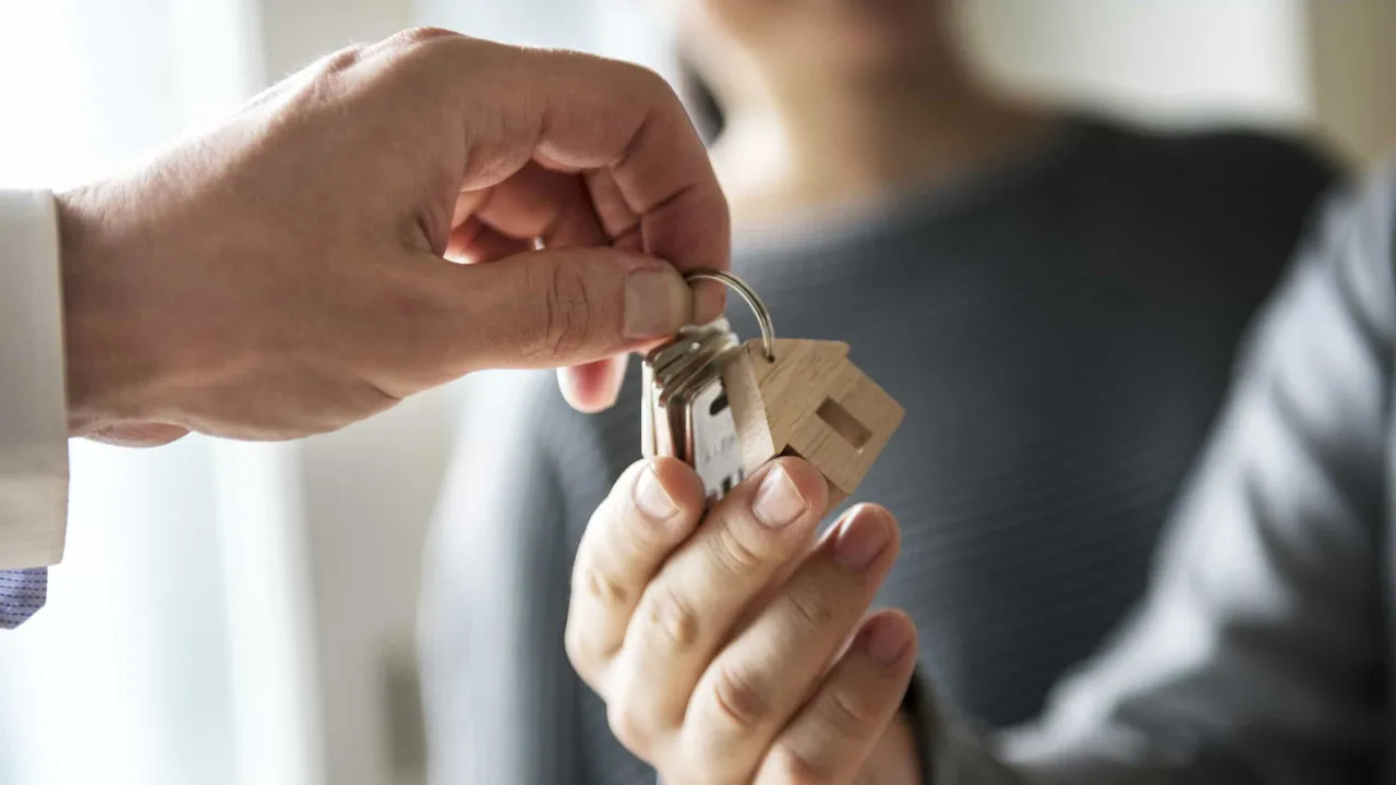 Grupo Grão-Pará passa de prejuízos a lucros de 36,5 mil euros em 2024