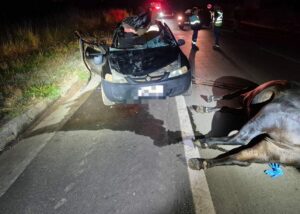 Morre segunda vítima de acidente ocorrido no último dia 27 na MGC-462