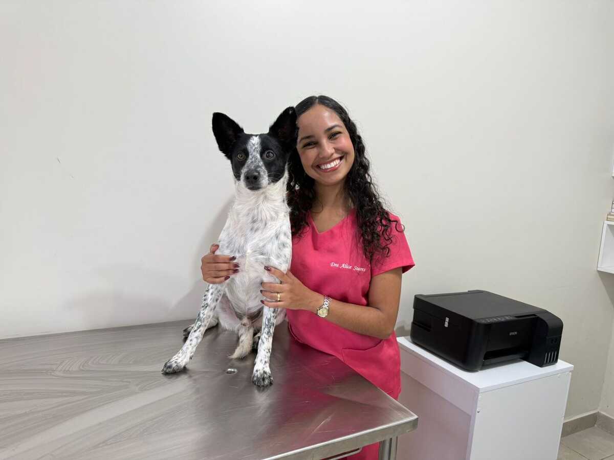 Cachorro que quase morreu em acidente aéreo está 100% recuperado