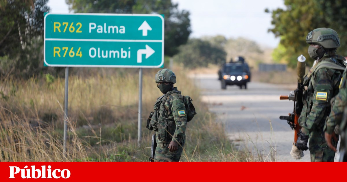 TotalEnergies prevê retomar megaprojecto de gás em Moçambique ainda este ano | Daniel Chapo