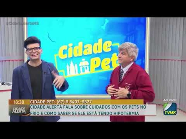 Cidade Alerta Fala Sobre Cuidados Com os Pets No Frio E como Saber Se Ele Está Tenda Hipotermia