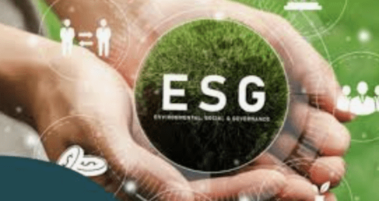 ESG EM ​​Eventos: Uma Pesquisa - Revista Live Marketing