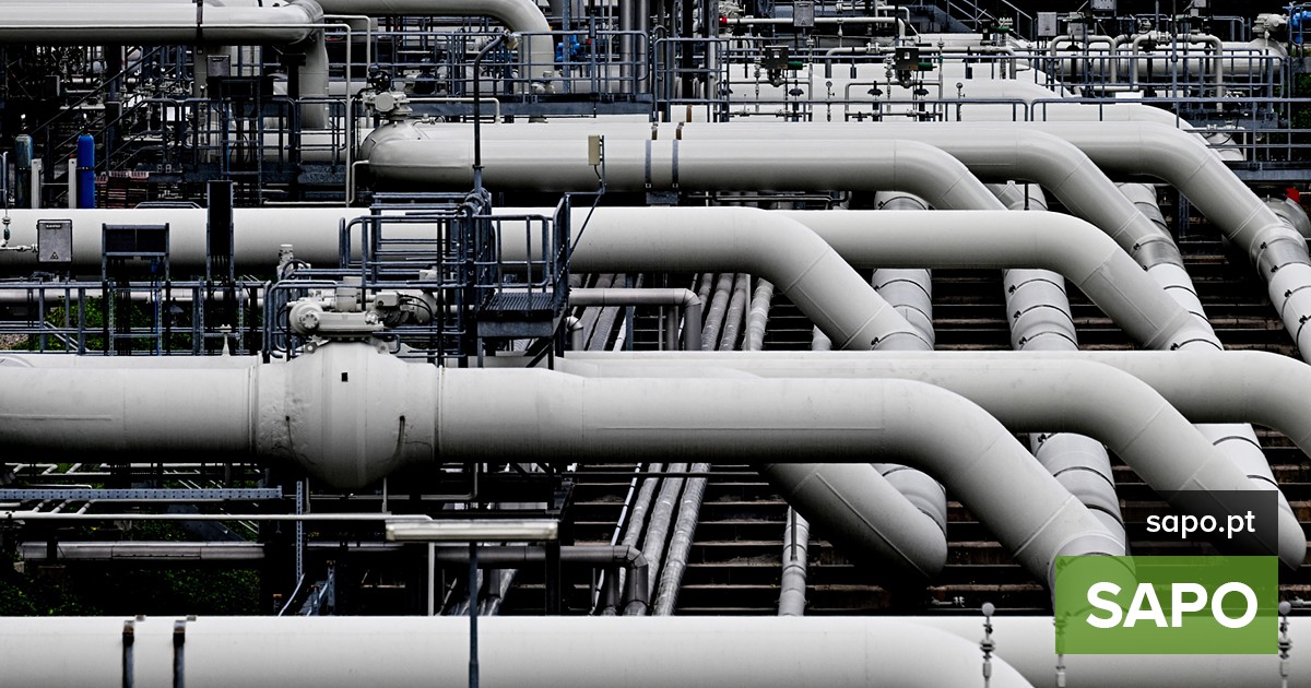 ONG quer travar financiamento britânico no projeto da TotalEnergies em Moçambique - Economia - SAPO.pt