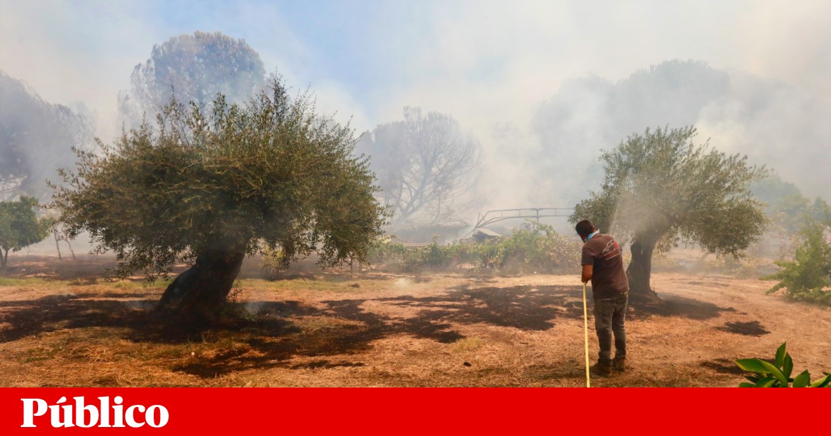 Acidente deixa helicóptero fora de serviço em Arcos de Valdevez | Incêndios - Público
