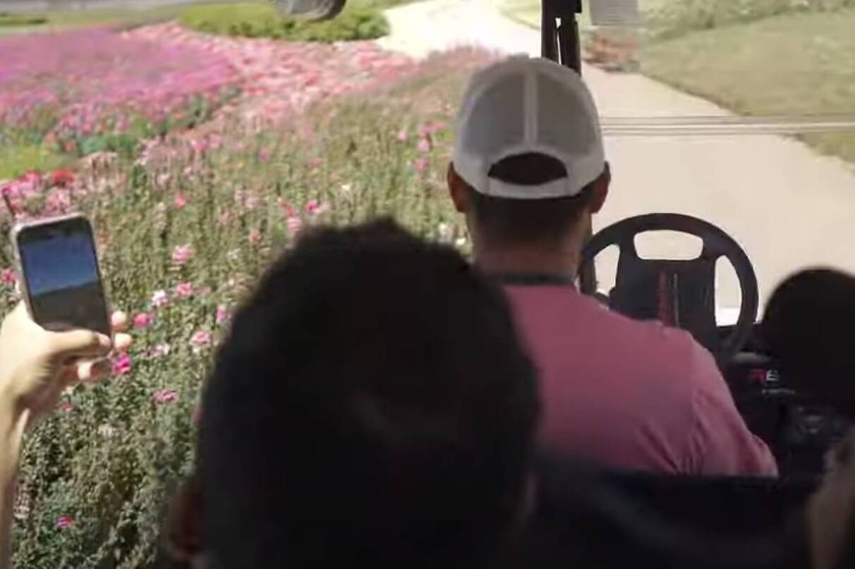 Acidente fatal em parque no RS: 2 morrem em carrinho elétrico