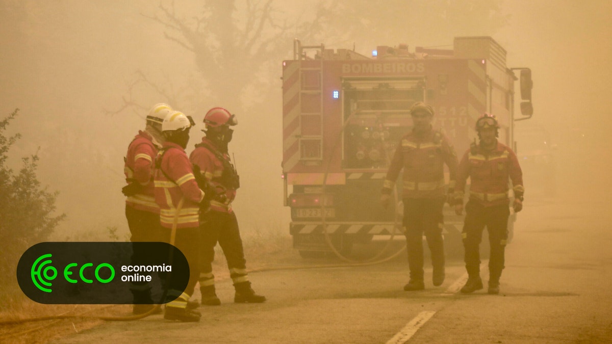 Bombeiro da Covilhã morre em acidente a caminho de um incêndio - ECO - SAPO