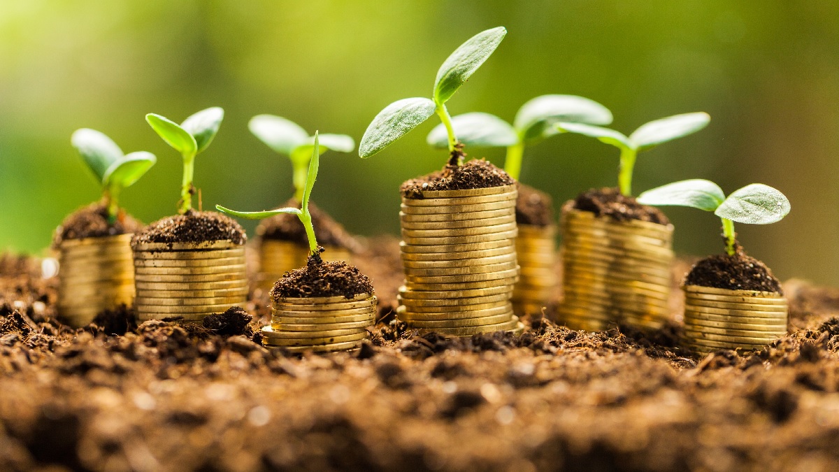 Imagem mostrando pilhas de moedas sobre o solo, com pequenas mudas brotando do topo. Uma ilustração para temas ESG e ligados à sustentabilidade