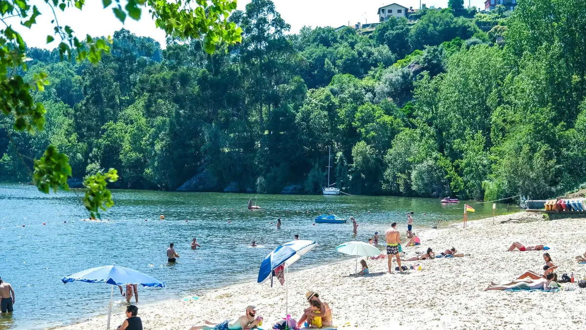 Jornal de Notícias Logo