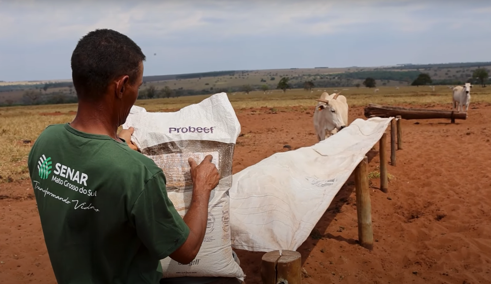 Alfabetizaça de Trabalhador rural Faz Parte Do "S" Do Esg