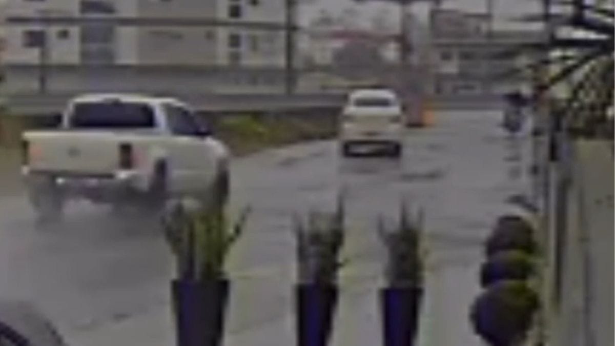 Câmera flagra acidente que matou motociclista na BR-280 em Guaramirim; motorista fugiu