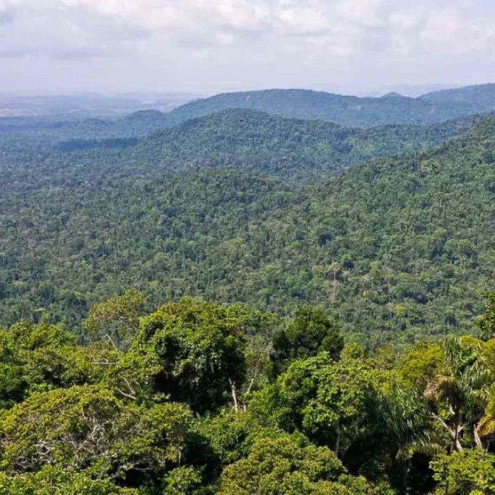 Como Empreas que ignoram Trump e Veem Esg como NOS Negócios Fundamental