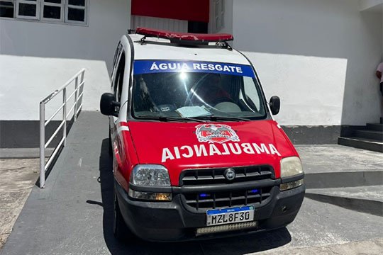 Oito crianças são atacadas por abelhas em escola de Conceição do Coité - Portal Voz do Campo