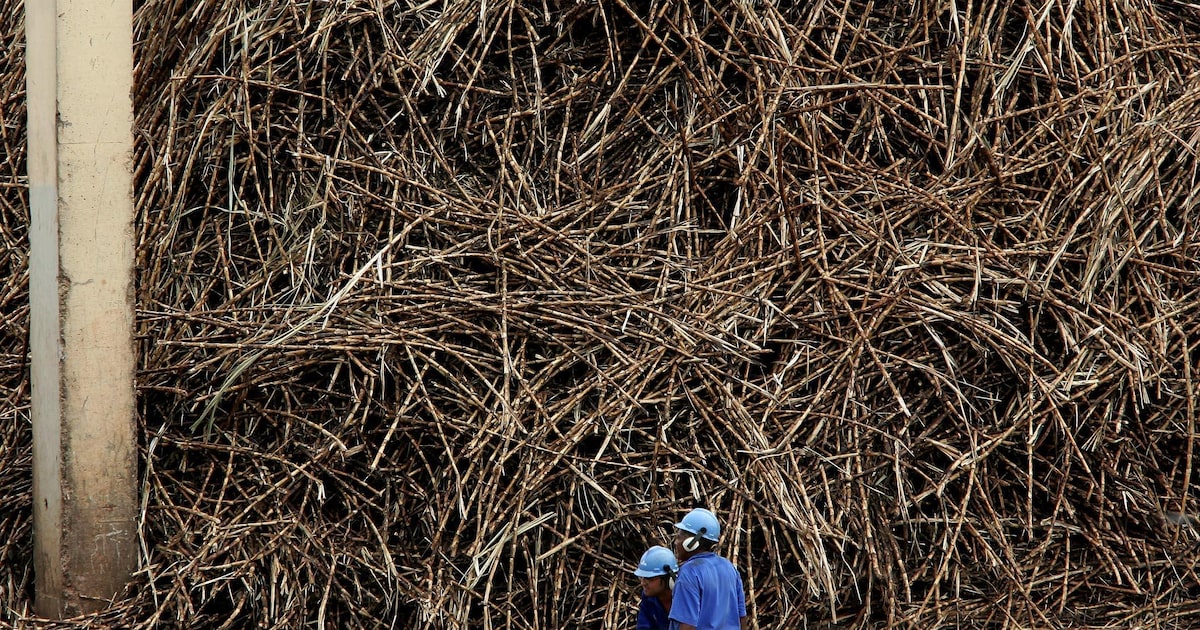 Venda de fatia da Raízen atrai grupos japoneses, Itaúsa, Glencore e Aramco