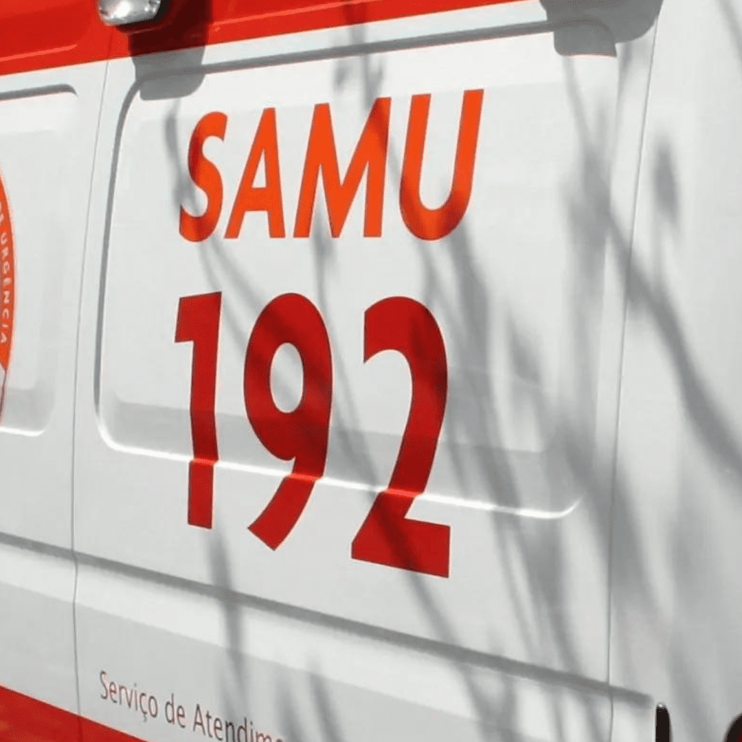 Acidente com animal na pista provoca morte de adolescente em Domingos Martins