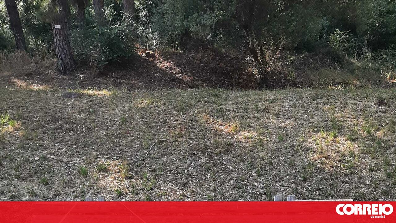 Acidente em banco de jardim fere idoso. Vítima quer que a Câmara de Lisboa assuma responsabilidades - Sociedade