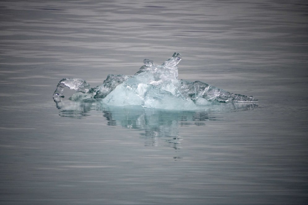 COP30: O TESTE DE FOGO DO ACORDO DE PARIS | Carol Kossling