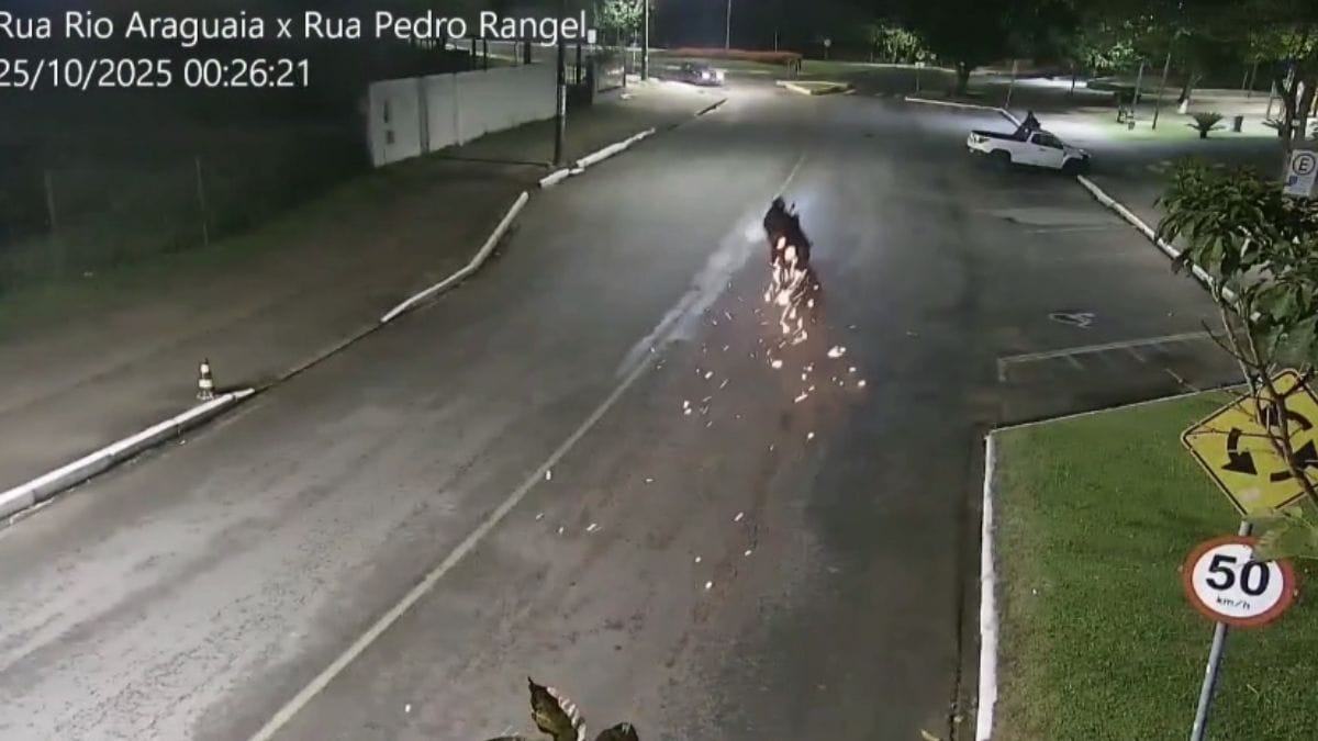 Câmera flagra acidente que matou dupla e arremessou mulher a 19 metros em Itajaí