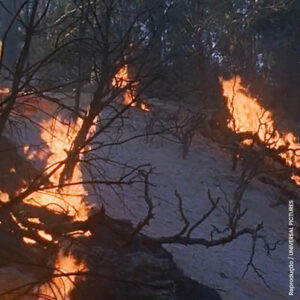 O que você faria no lugar dele? #desastre #familia #filmes #AdoroCinema #fblifestyle – Facebook