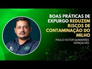 Como as boas práticas de expurgo reduzem riscos de contaminação do milho – Agro e Prosa
