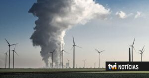 Agricultor belga pede indemnização a gigante petrolífero TotalEnergies por danos causados pelo agravar da crise climática