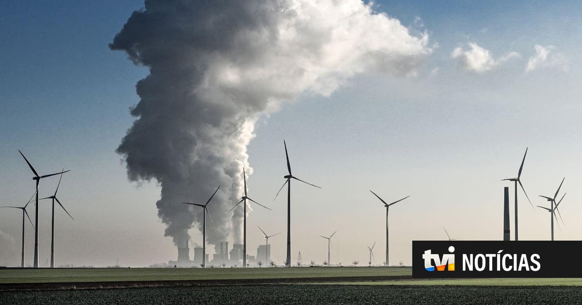 Agricultor belga pede indemnização a gigante petrolífero TotalEnergies por danos causados pelo agravar da crise climática