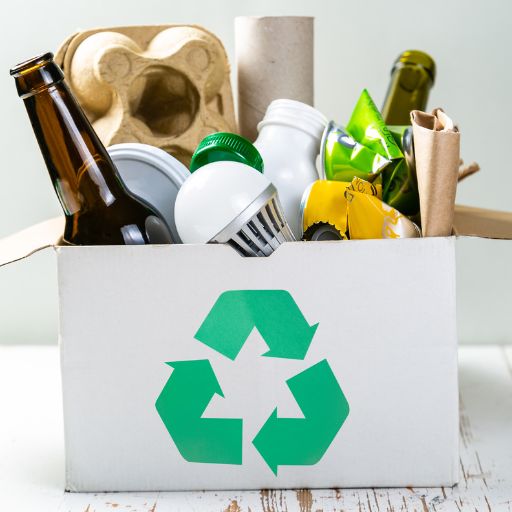 Câmara de Alimentos discute riscos do PL 533/2025 para o setor e consumidores