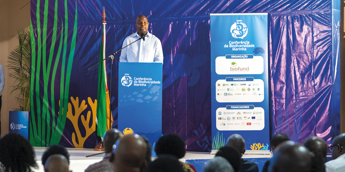 Não há Conservação Que Resulta Sem Envolver as Comunidades • Diário Económico