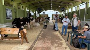 Torneio Leiteiro da Expovale beneficia famílias atingidas pelo tornado