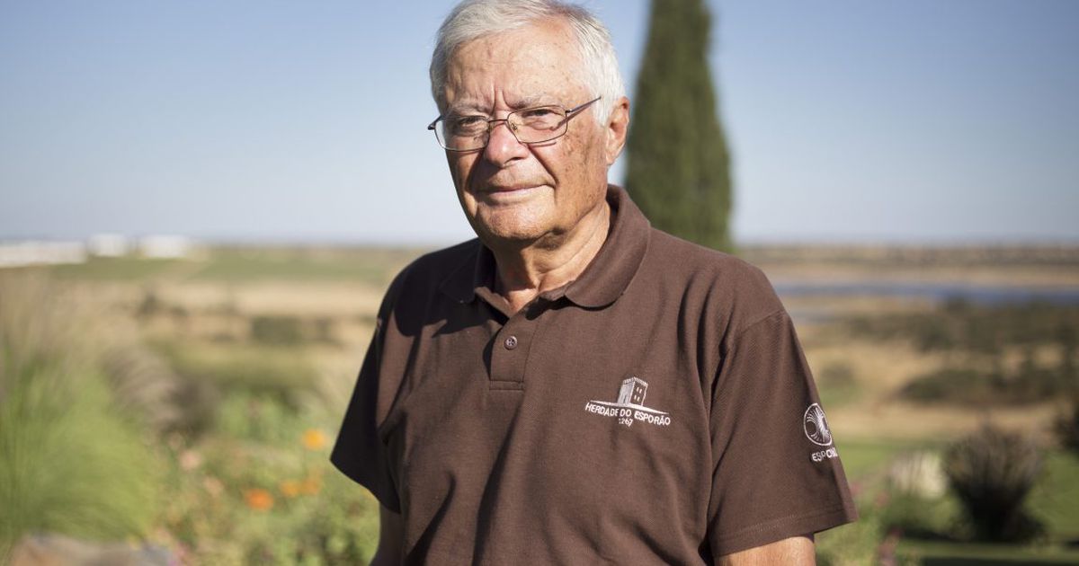 Sporting: antigo presidente José Roquette escapa ileso de acidente que provocou um morto : A Bola