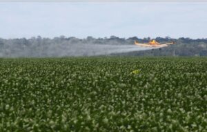 E a solução? A COP 30 acaba e a violência do agronegócio só aumenta no Maranhão