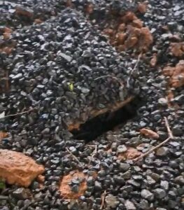RAIO destrói equipamentos do escritório da Sanesul em Chapadão do Sul. Descarga fez um buraco no chão (Video)