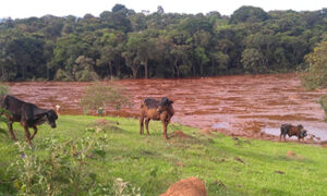 Justiça determina que Vale transfira R$ 234 milhões para atingidos