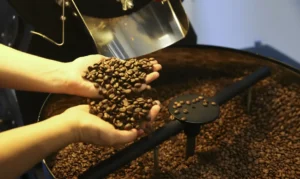 Cidade que mais produz café no Brasil é também um lugar rico em fontes de água mineral