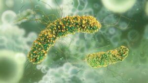 Massas instantâneas contaminadas por bactéria matam 6 pessoas – Jornal Imagem