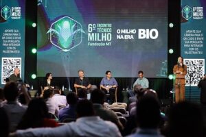 Explosão do etanol e recordes de produtividade colocam milho no topo do agronegócio